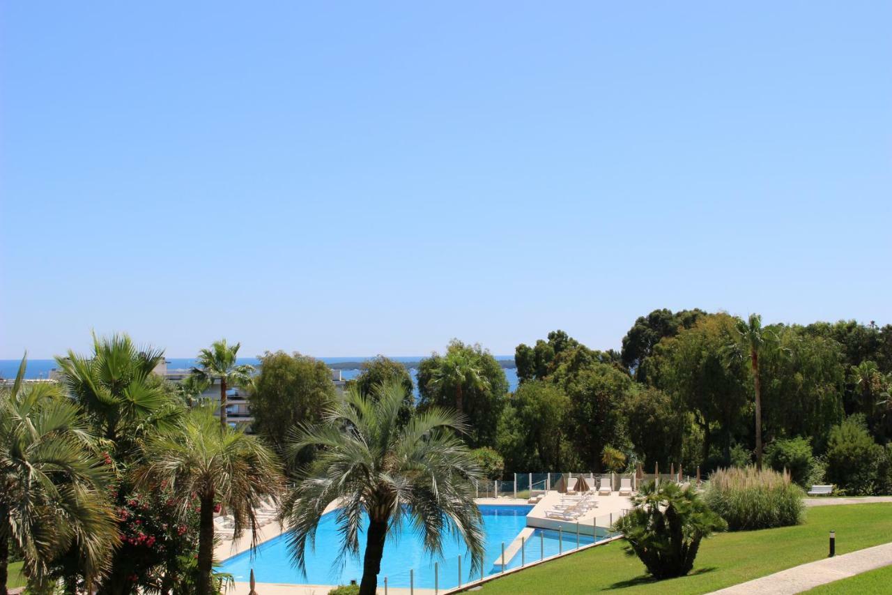 Appartement 2 Chambres Vue Mer Panoramique, Proche Croisette Cannes Vallauris Kültér fotó
